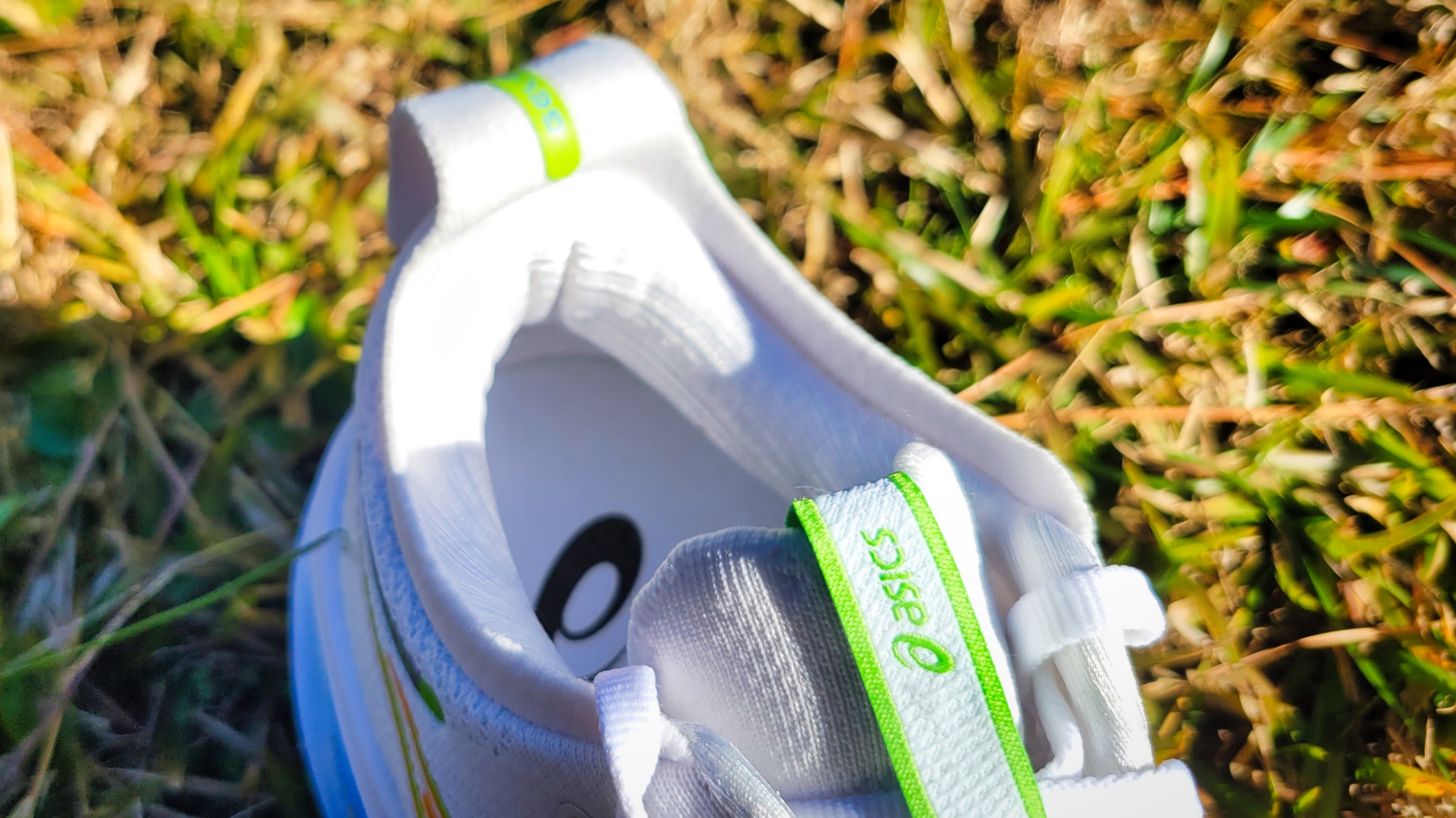 Picture of ASICS Gel Nimbus 26