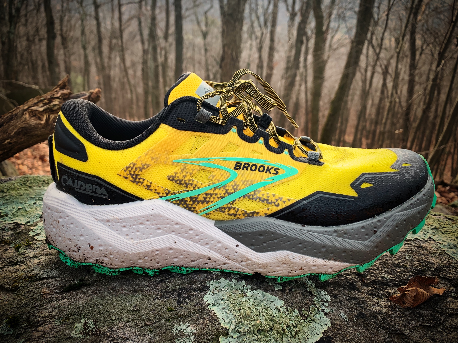 Picture of Brooks Caldera 7